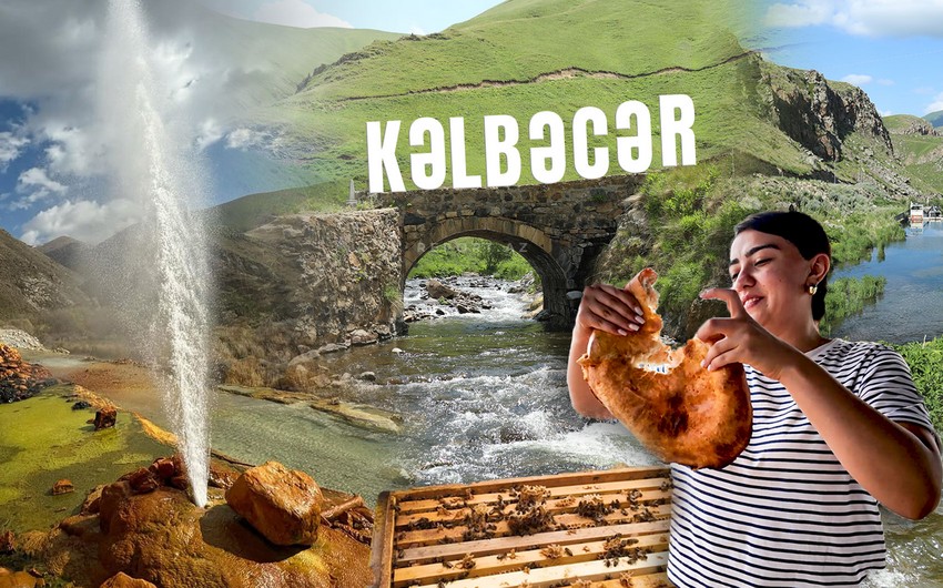 c51dc8e2-6542-3cd6-b50b-36f683efa375_850