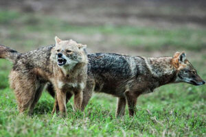 6898371be8a8a6898371be8a8b17548060436898371be8a886898371be8a89