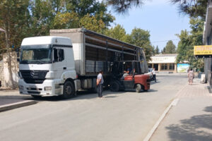 InShot_20250808_103951173