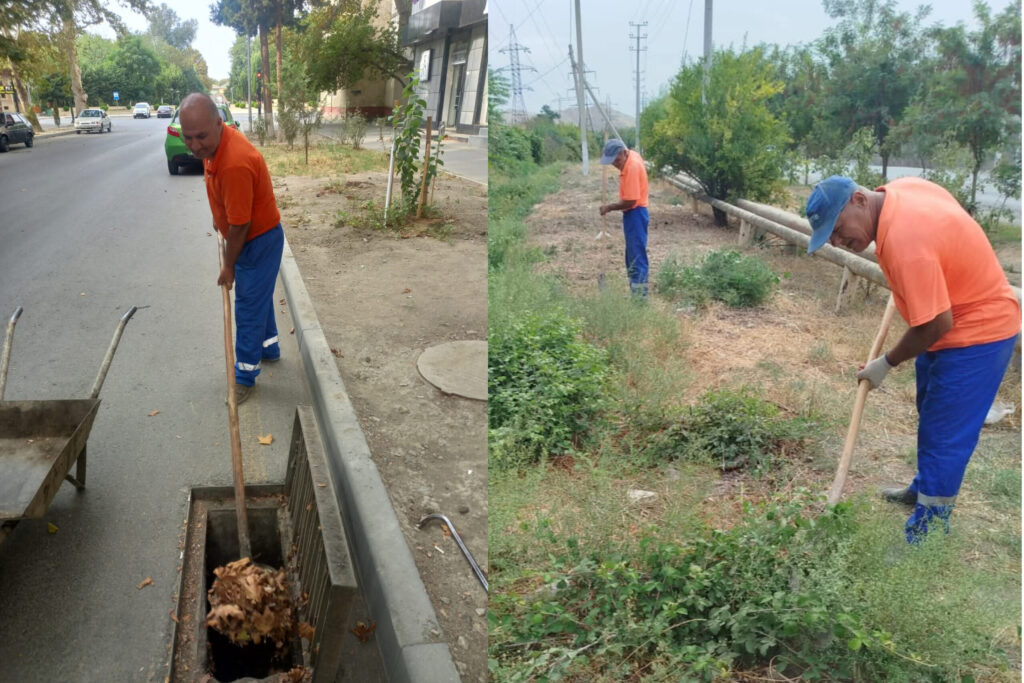 InShot_20250908_165749839