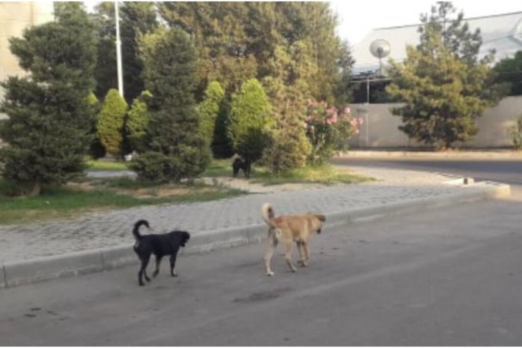 InShot_20251103_205059793