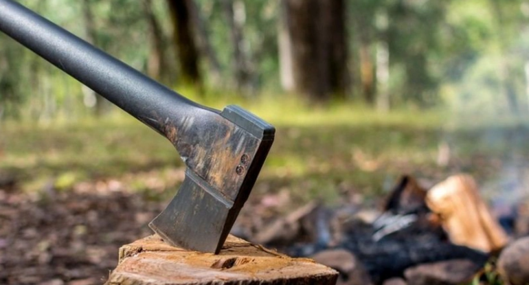 1766153301_fdd769a1-7bd5-3953-acbc-77674526