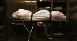 1766163166_e1f9640b-9628-34ab-8203-2b3730e5