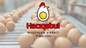 453ead47daa1320485d680b2778f47ba_Untitled-1