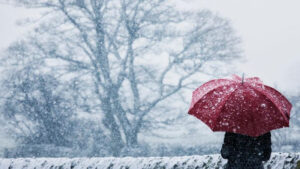 800108db4c14d90ee2ec3f317e9b72ff_Untitled-1