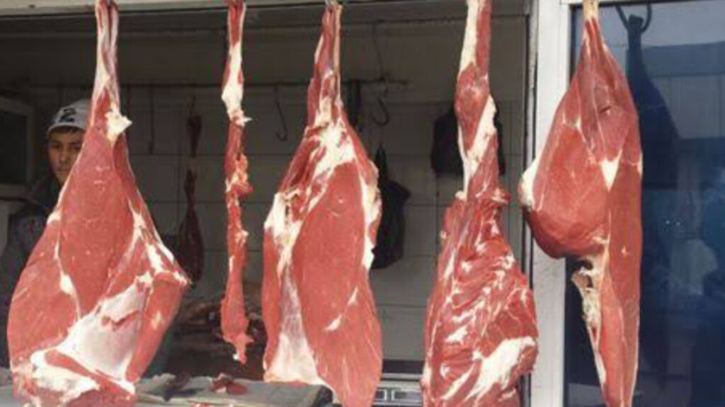 InShot_20251214_200004912