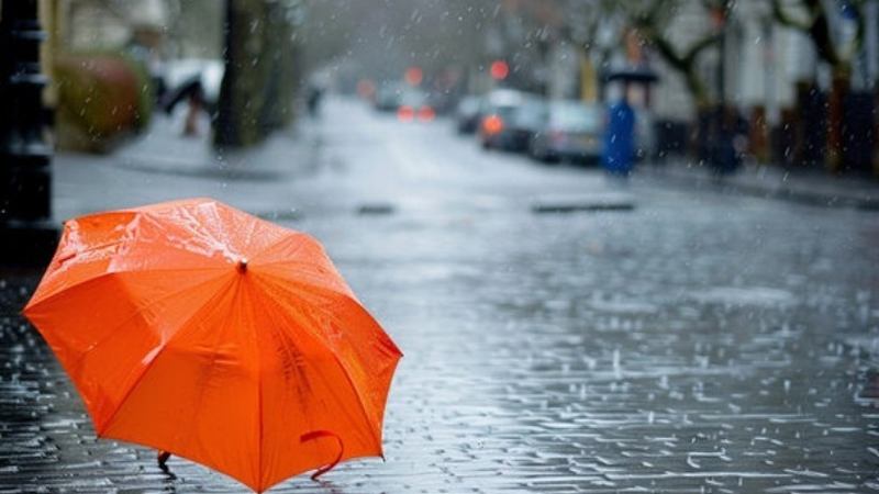 d140c949cb571a9c5666112a01b9cfa6_12