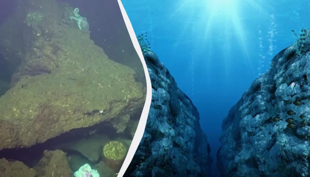 CREATOR: gd-jpeg v1.0 (using IJG JPEG v80), default quality?