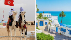 ffc04562cc87c0ffb70a24ddad6e576f_2