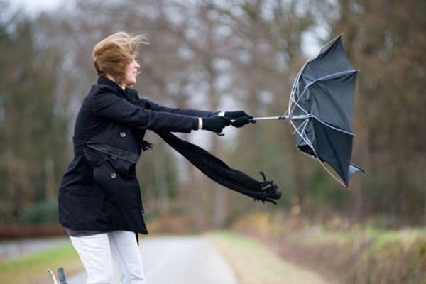 1767443224.1767435469.kulek