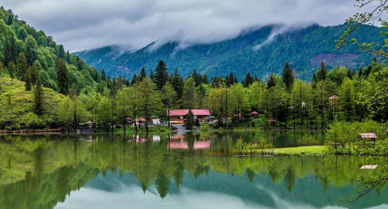 1767874565_screenshot-2026-01-08-161413