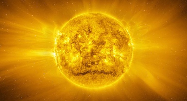 1767878560_owl_detail_620_4d83a9a9f6f455b92e302b40272be127