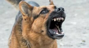 1767966592_screenshot_3