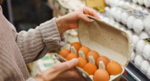 1768408429_eg1-pic4_zoom-1500x1500-69544