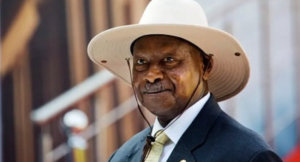 1768668356_default-7