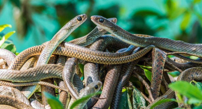 1768761083_a1bbc380cc1fb9a1c632ed79075aa00e_1629892032-8120