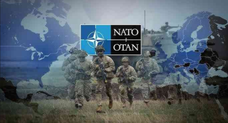 1768800597_screenshot-2026-01-19-092837