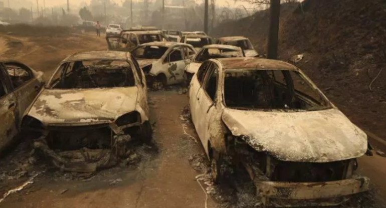 1768805052_screenshot-2026-01-19-104247