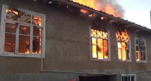 1769102446_yanin-ghfjd