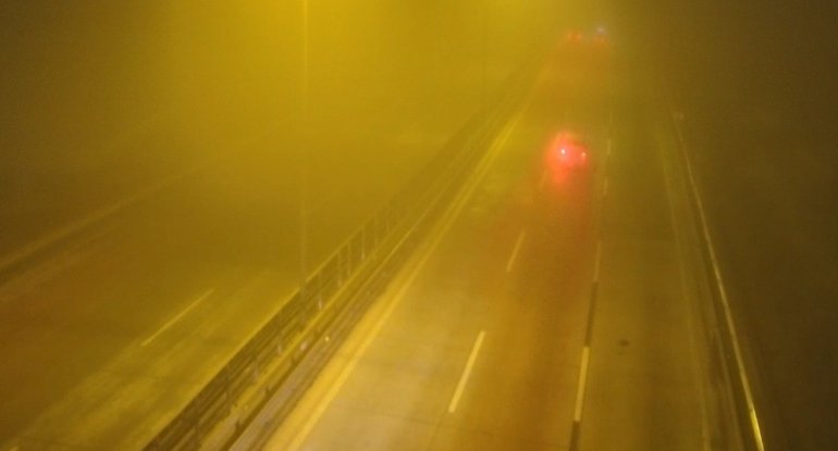 1769798207_697cf976acc0e697cf976acc0f1769798006697cf976acc0c697cf976acc0d