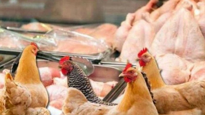 63acbb1d36261612883345340a42ec81_toyuqe