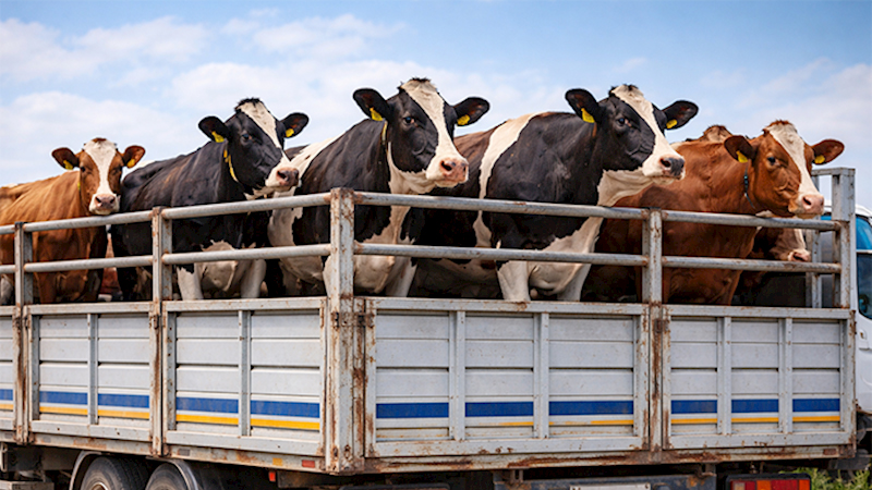 6fed7afa87d7292d142a44ebcc8c6171_Untitled-1