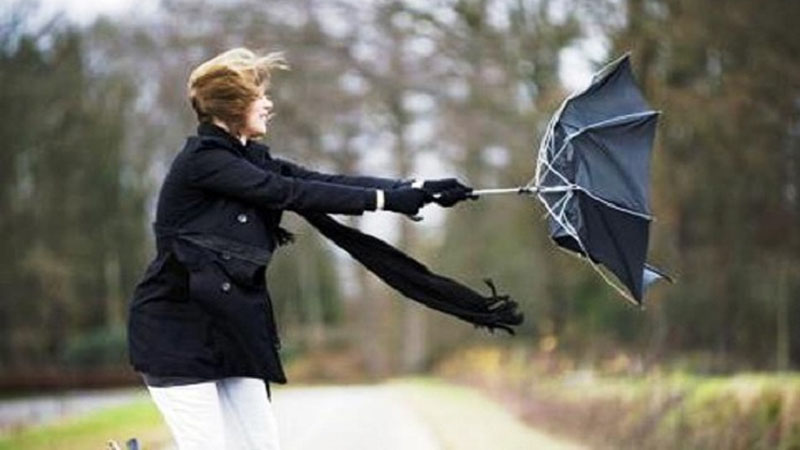 8de31f27b93a455ae4ad132ce265c1dc_havakulek