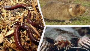 9a33c194a6e46ca6ad663fa115591c40_8