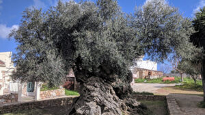 f313ccecbc6318883664d0dfc756952d_2