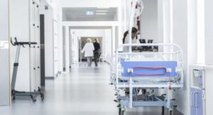 1770826552_xestexana_2025dii-1