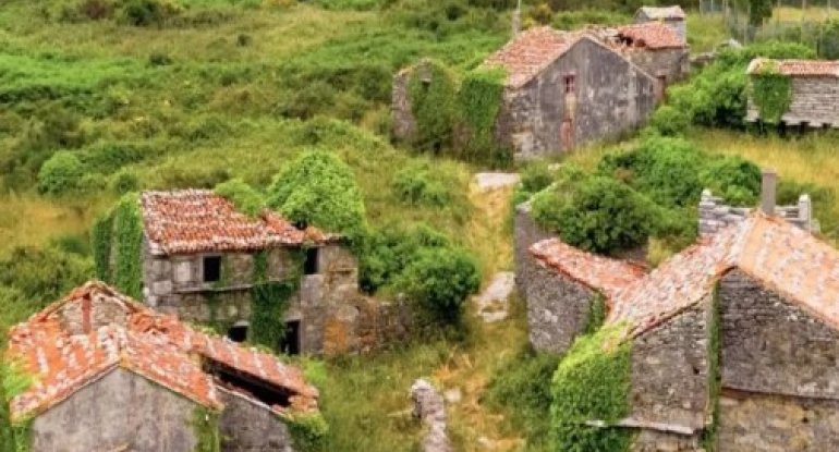 1771766143_screenshot_3