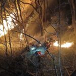 Cənubi Koreyada meşə yanğınları nəzarətdən çıxdı: 3 gündə 190 hektar ərazi kül oldu