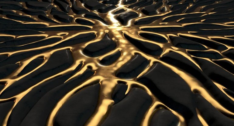 1772031094_91d07fcbe314ae3b29645e7b9d2f6df5_3