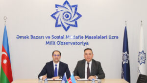 InShot_20260203_181143061